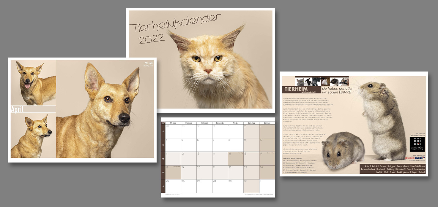 tierheimkalender 2022